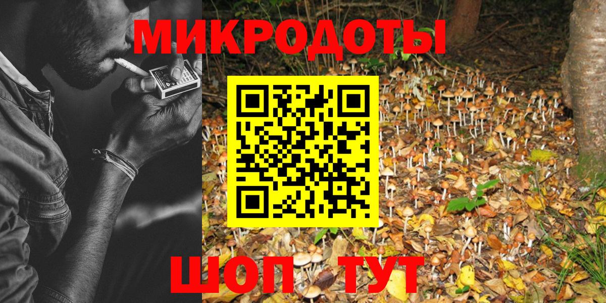 Кинель  Псилоцибиновые грибы прущие грибы  Вход с VPN 