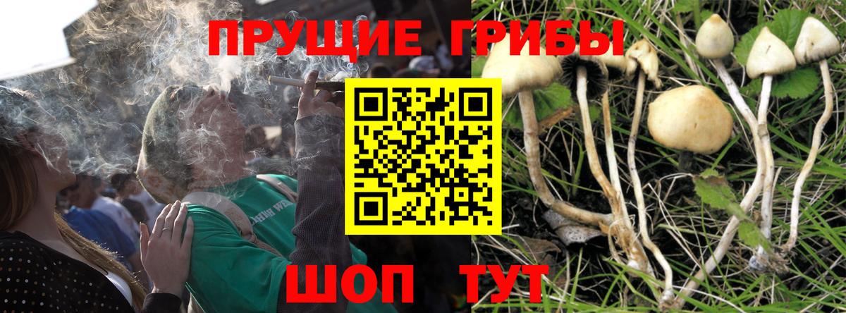 Псилоцибиновые грибы ЛСД Кинель
